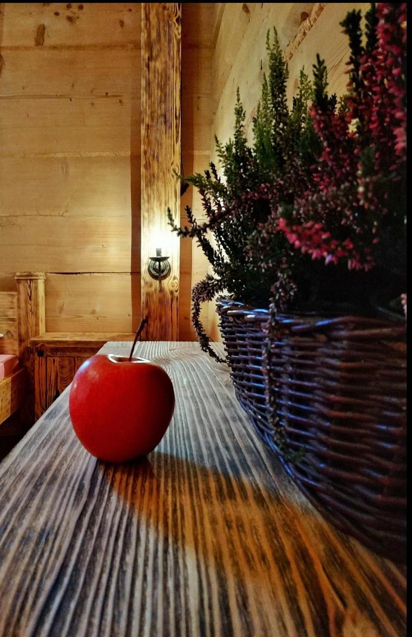 Bukowianska Ostoja - Sauna, Jacuzzi I Balia W Ofercie ブコビナ・タトシャンスカ エクステリア 写真